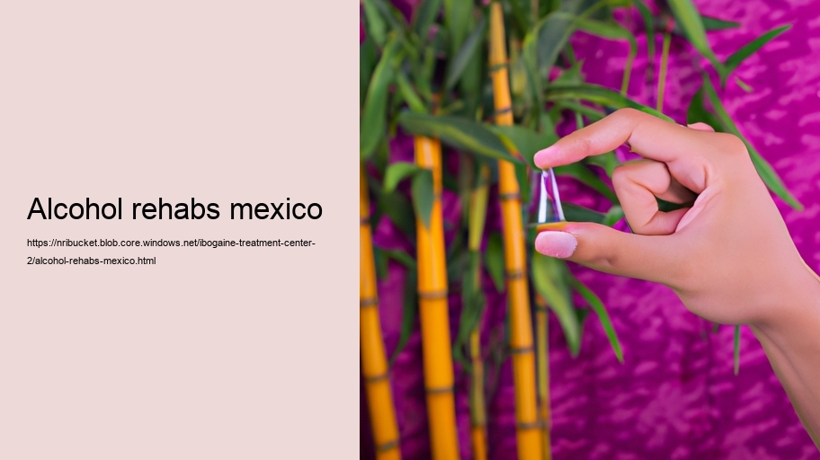 alcohol rehabs mexico