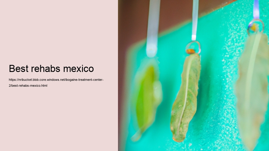 best rehabs mexico