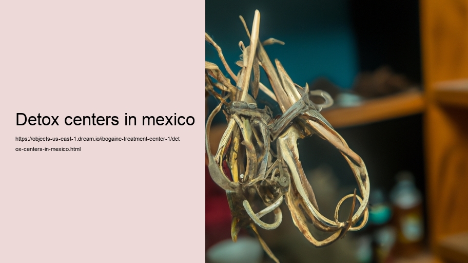 detox centers in mexico