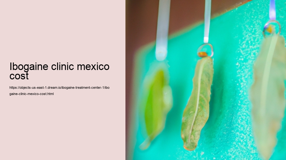 ibogaine clinic mexico cost