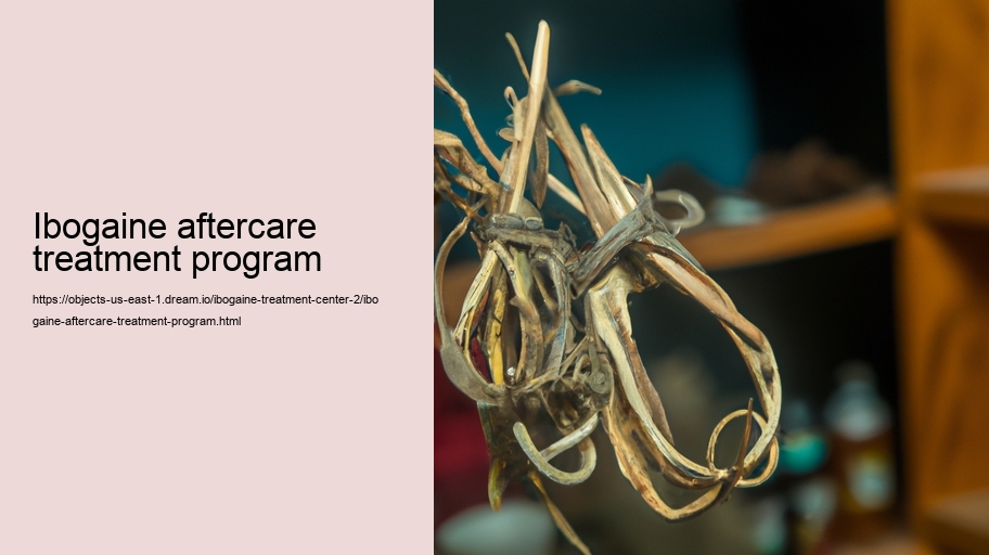 ibogaine aftercare treatment program