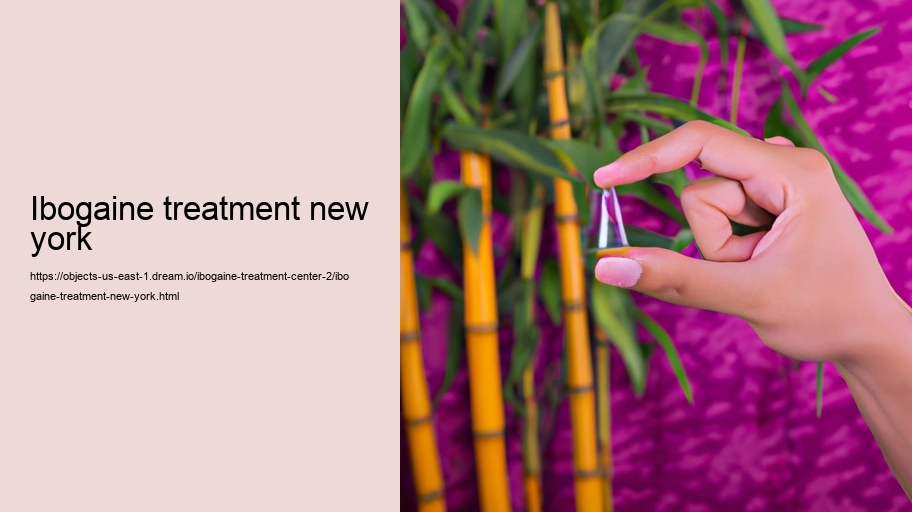 ibogaine treatment new york