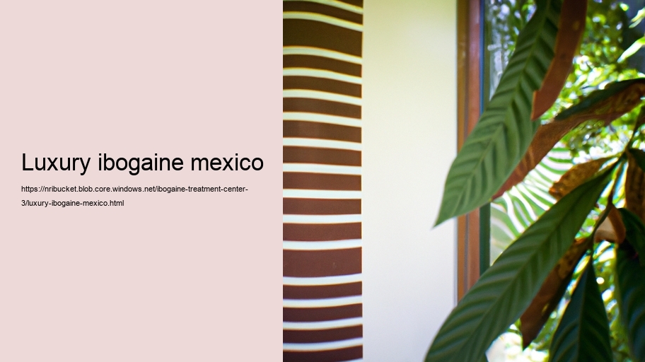 luxury ibogaine mexico