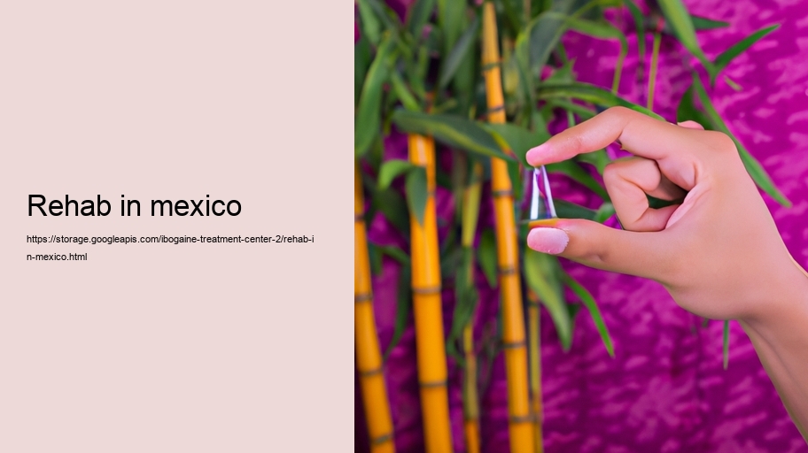 rehab in mexico