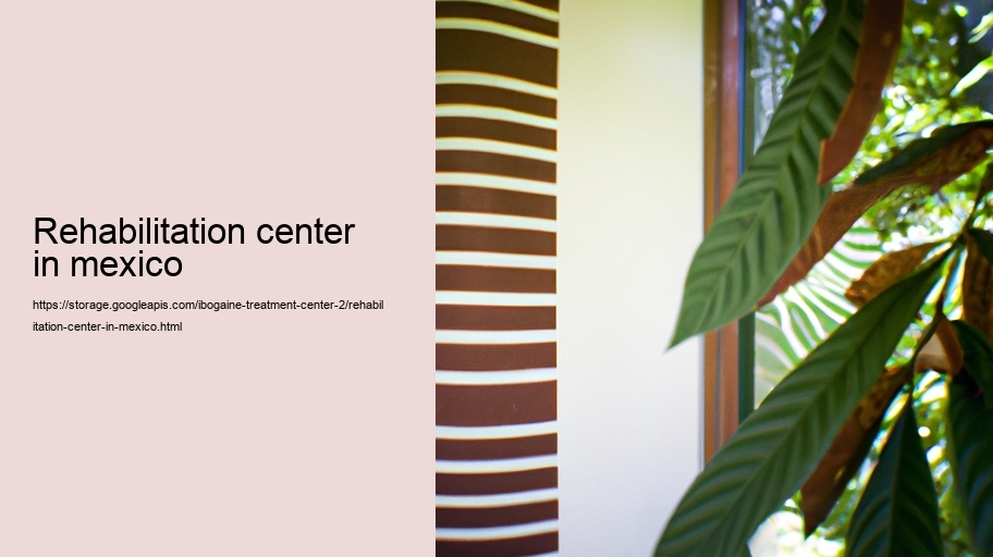 rehabilitation center in mexico